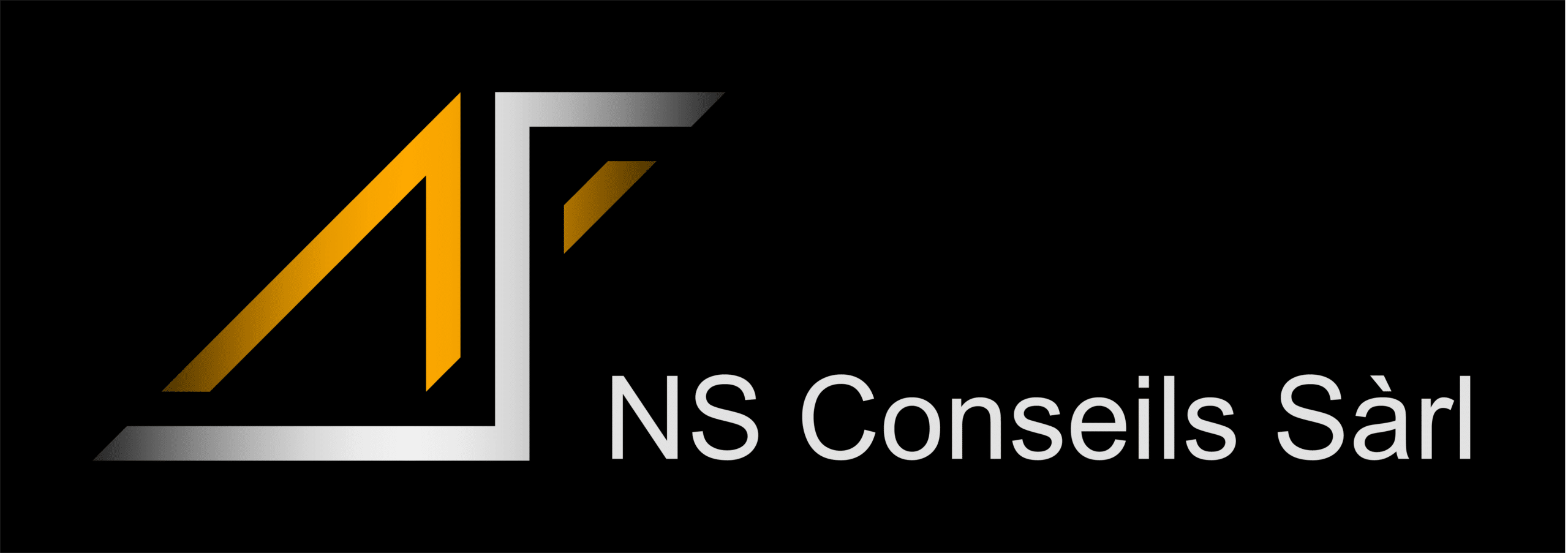 NS Conseils