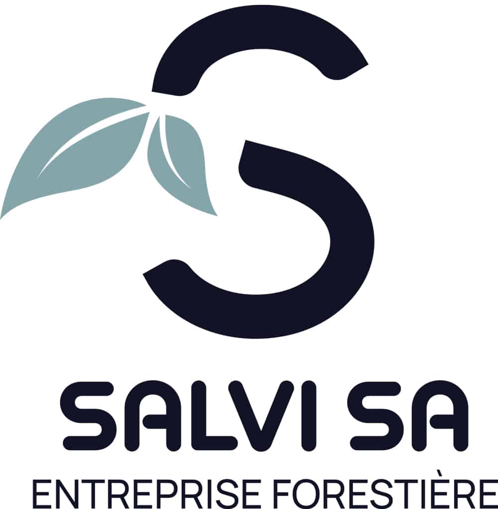 Salvi SA